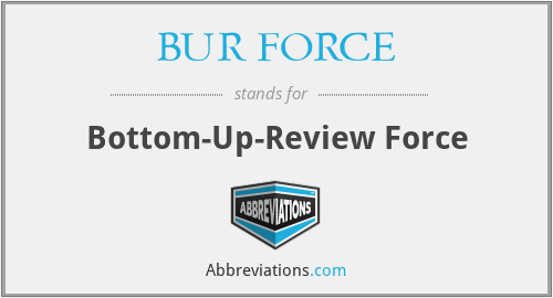 What does BUR FORCE stand for?